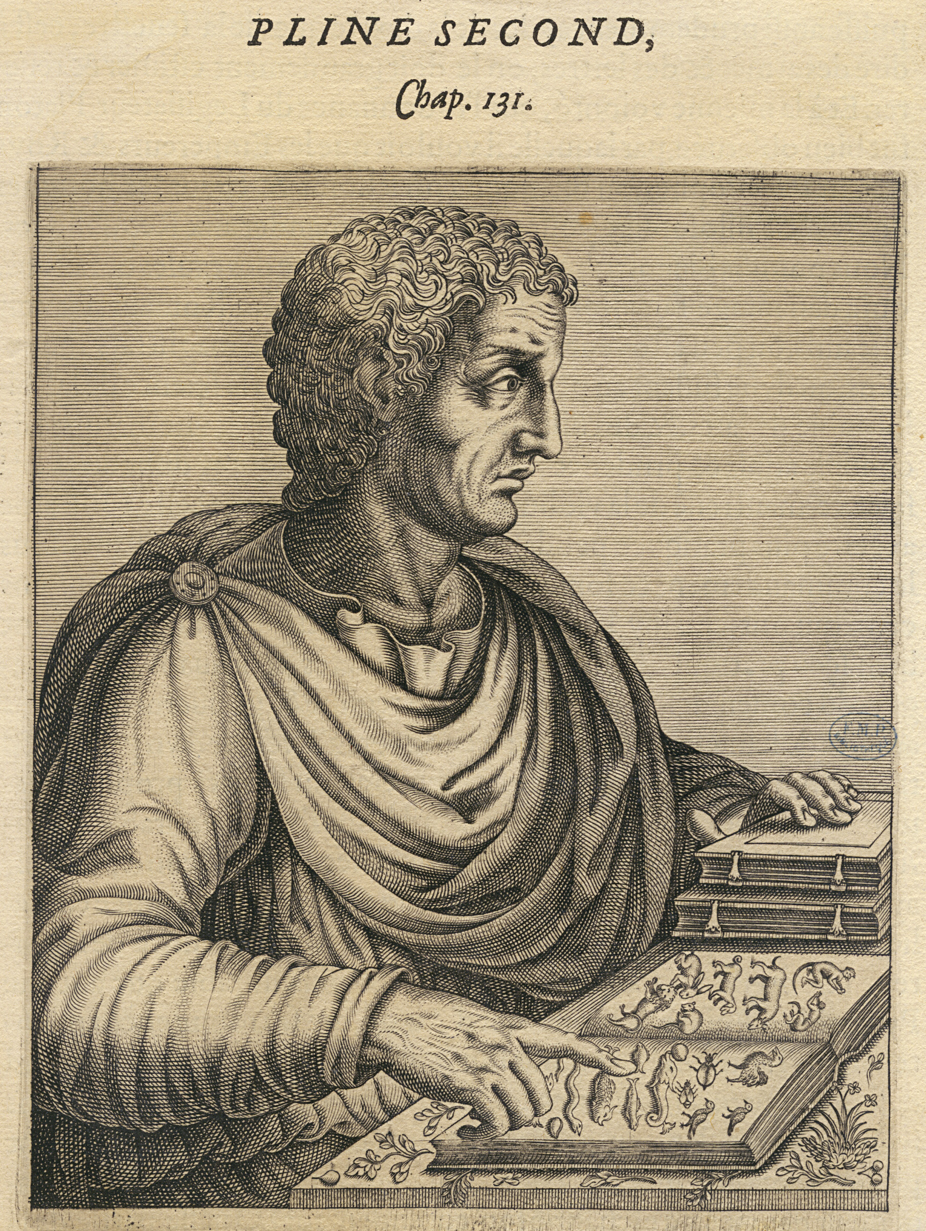 File:Pline le Jeune, Caius Plinius Caecilius Secundus (61-114) CIPB1135.jpg  - Wikimedia Commons