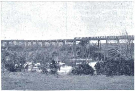 File:Puente sobre el Río San Jose.jpg