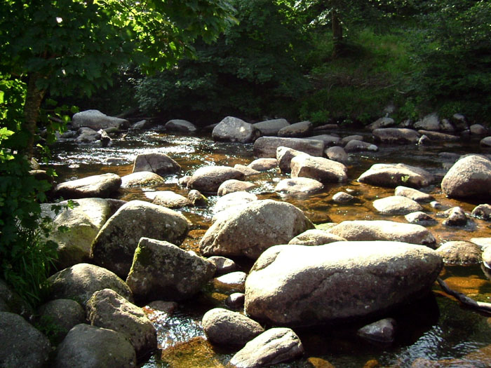 File:River Dart at Dartmeet..jpg