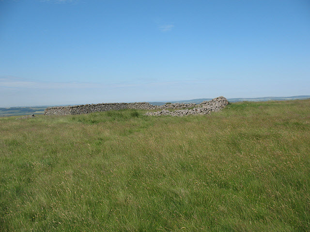 File:Sheepfold on the eastern flank of White Law - geograph.org.uk - 1426798.jpg