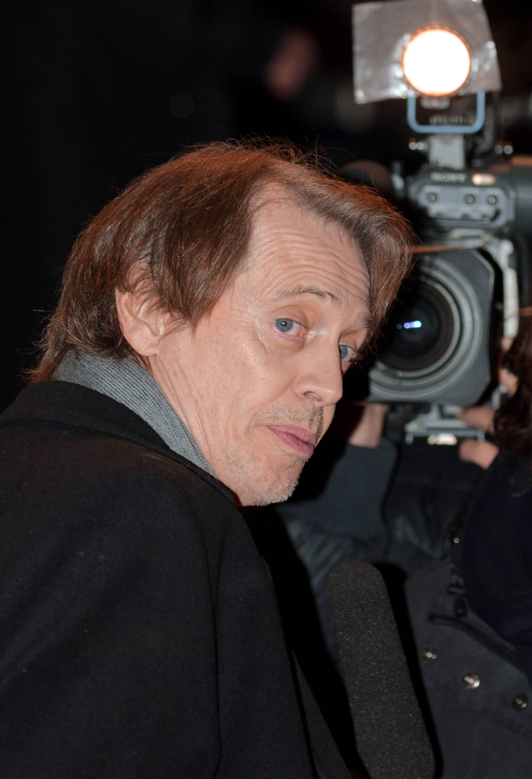 File Steve Buscemi Berlin Film Festival 2009 .jpg Wikipedia