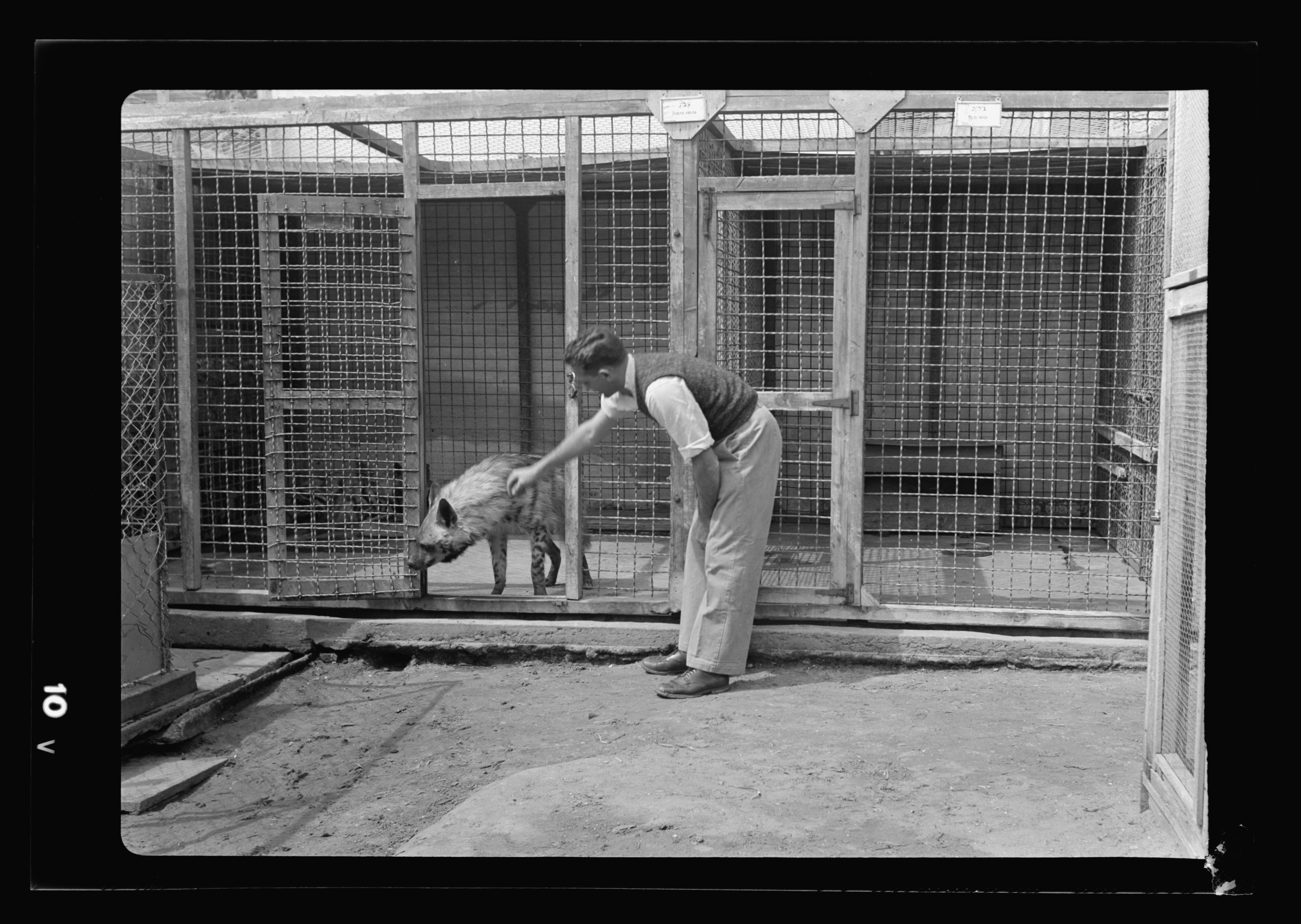 Men zoos radios weather bags children. Зоопарк Тель Авива. Тель Авив зоопарк. Зоопарк в Тель Авиве.