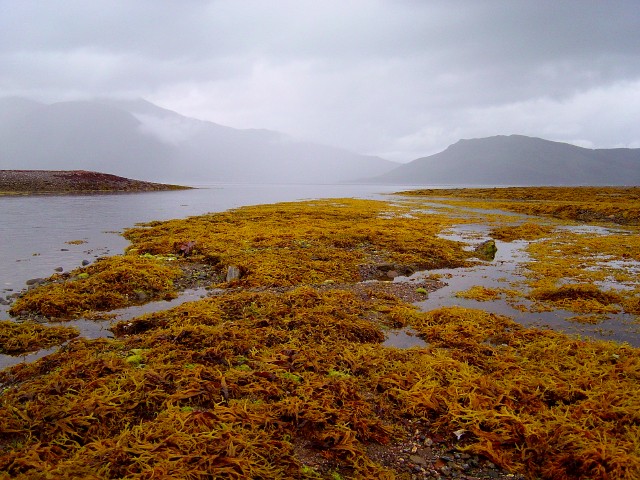 File:The Sound of Sleat, near Glenelg - geograph.org.uk - 225042.jpg