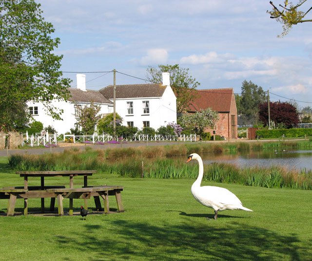 File:The village pond in Boughton - geograph.org.uk - 1860193.jpg