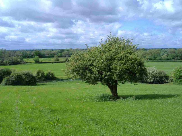 Upper Thames valley - geograph.org.uk - 436566