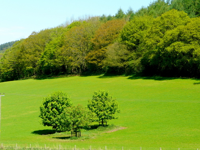 File:View across Deep Dean - geograph.org.uk - 1280601.jpg