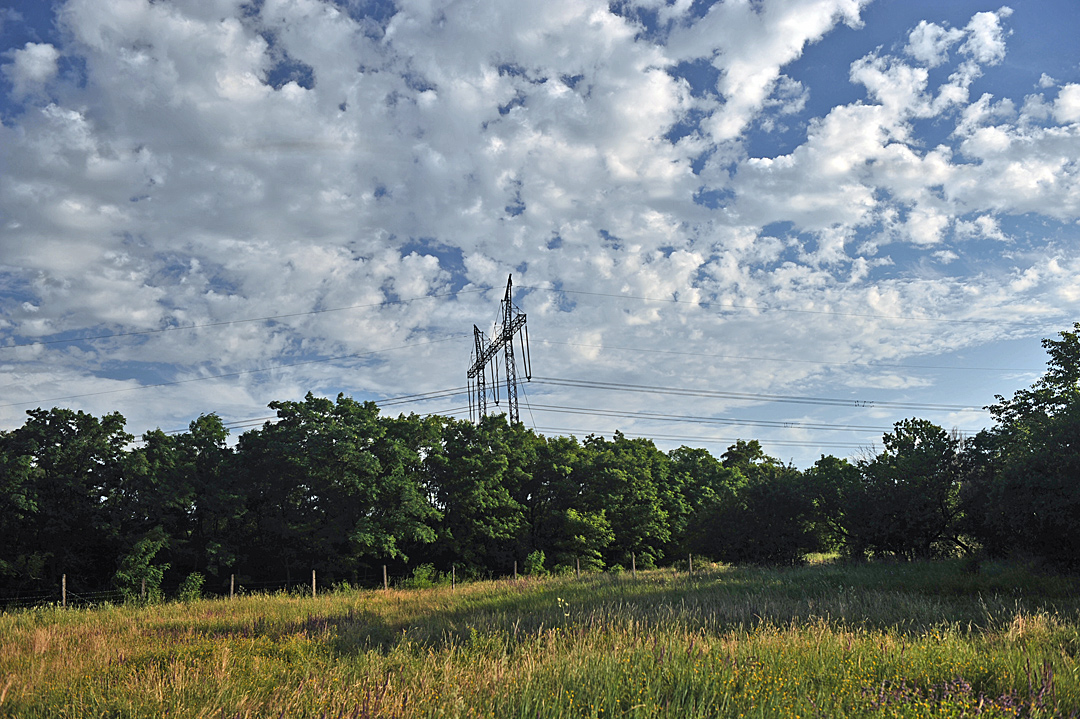 Июня 2010. Прерии Иллинойс. Illinois Prairie.