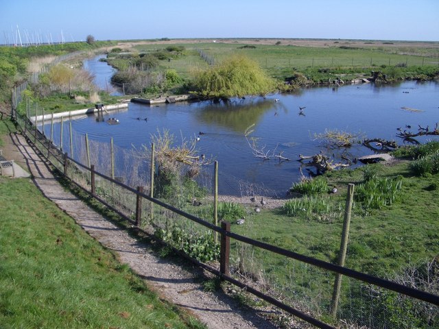 File:A Water Bird Paradise at Blakeney - geograph.org.uk - 468241.jpg