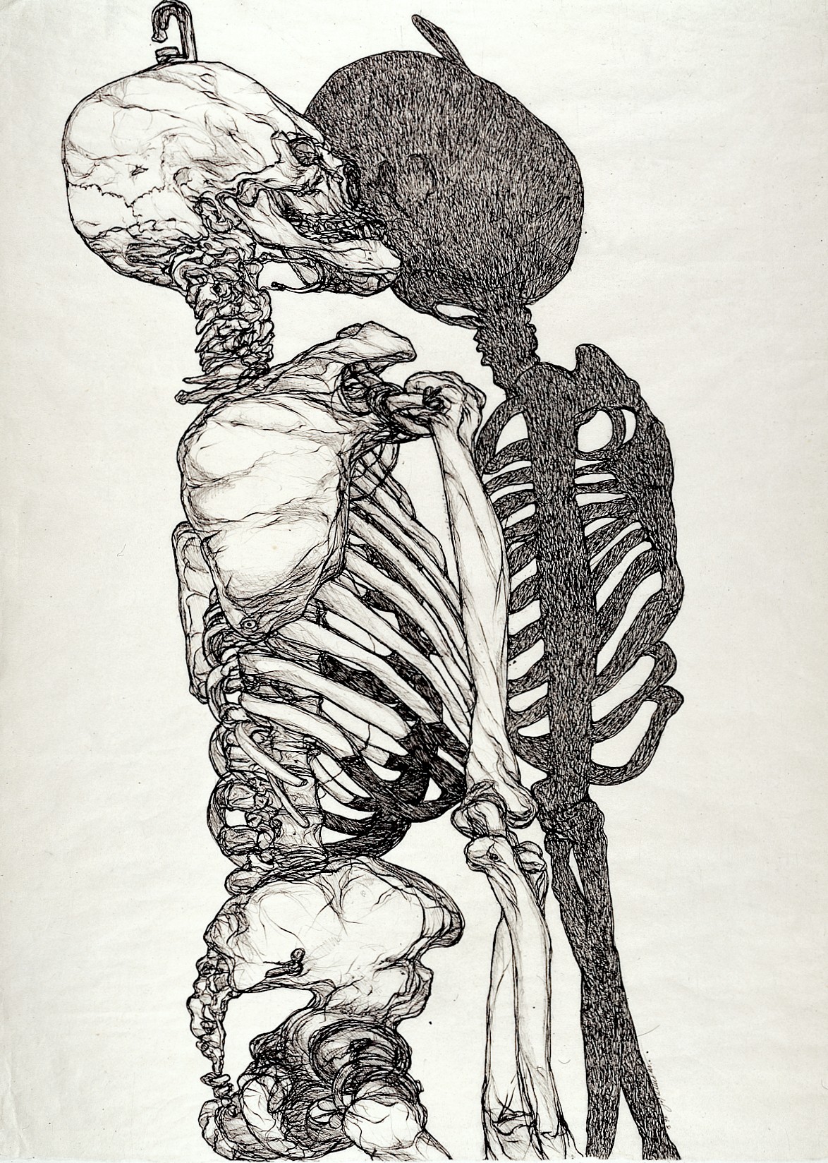 A_skeleton_and_its_shadow._Pen_and_ink_drawing_by_Joyce_Cutl_Wellcome_L0027998.jpg