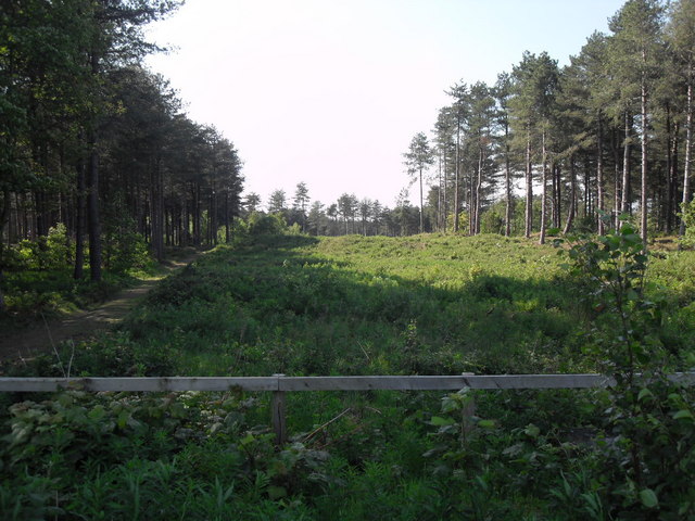 File:Ainsdale Nature Reserve - geograph.org.uk - 2461158.jpg