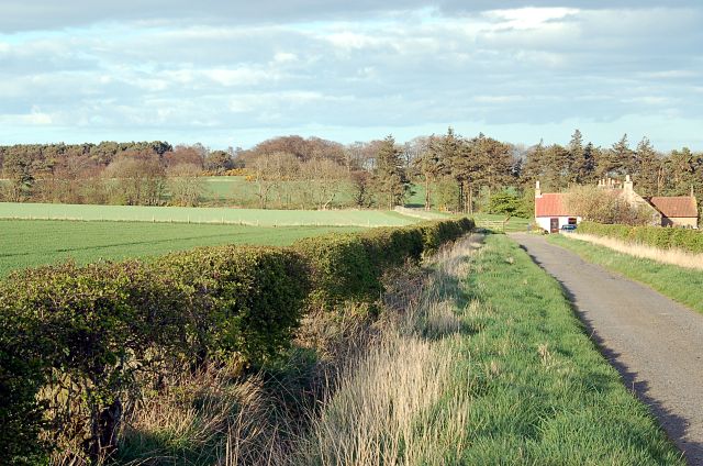 File:Balmonth - geograph.org.uk - 404379.jpg