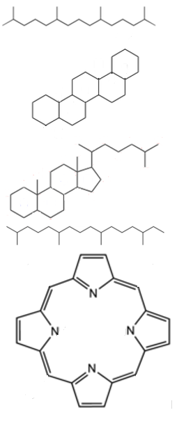 <span class="mw-page-title-main">Biomarker (petroleum)</span>