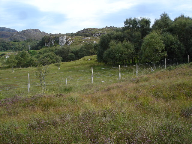 File:Birchwood and moorland - geograph.org.uk - 52526.jpg