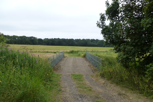 File:Bridge over a drain - geograph.org.uk - 3566266.jpg