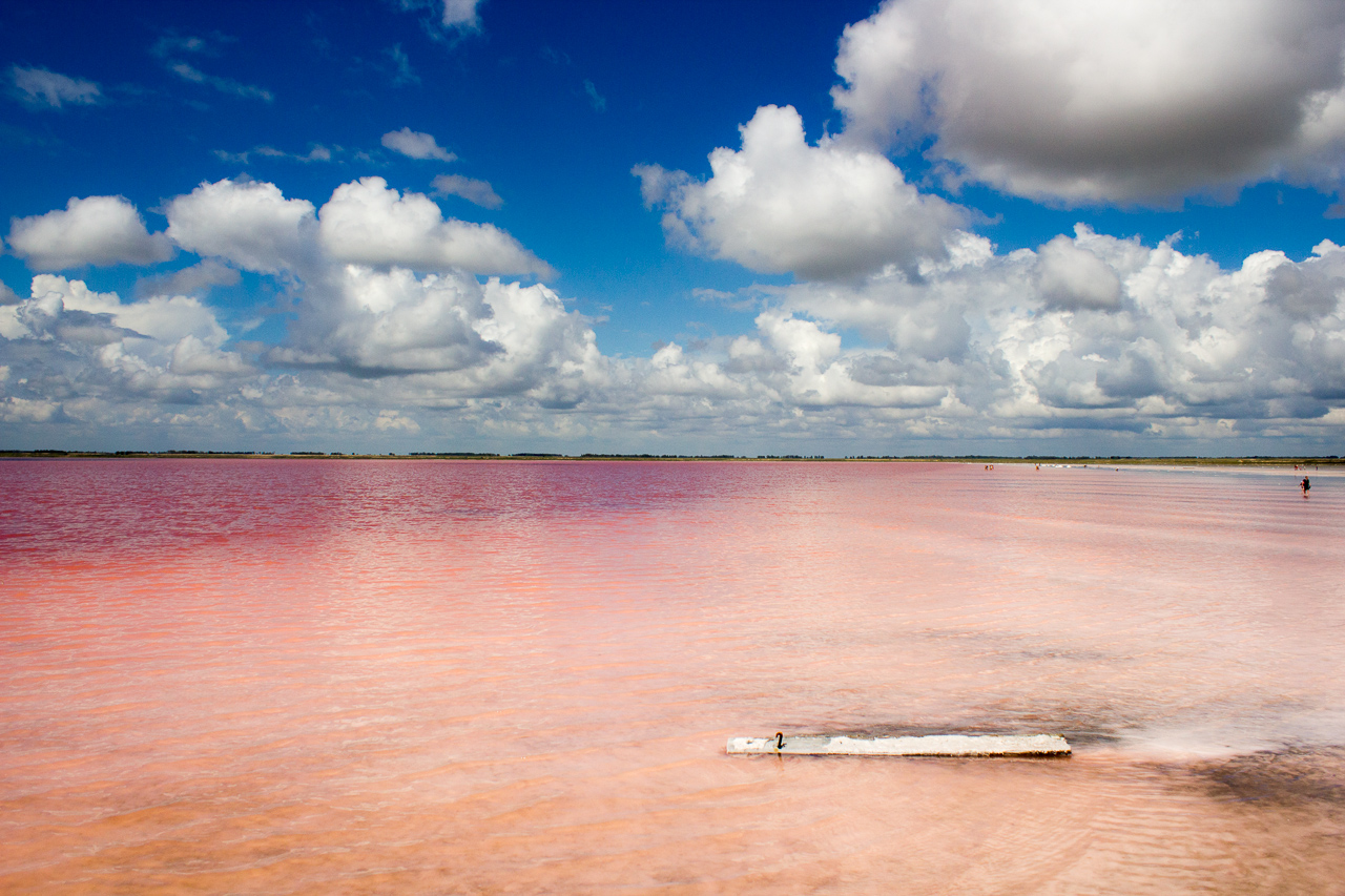 Вода в Бурлинском озере