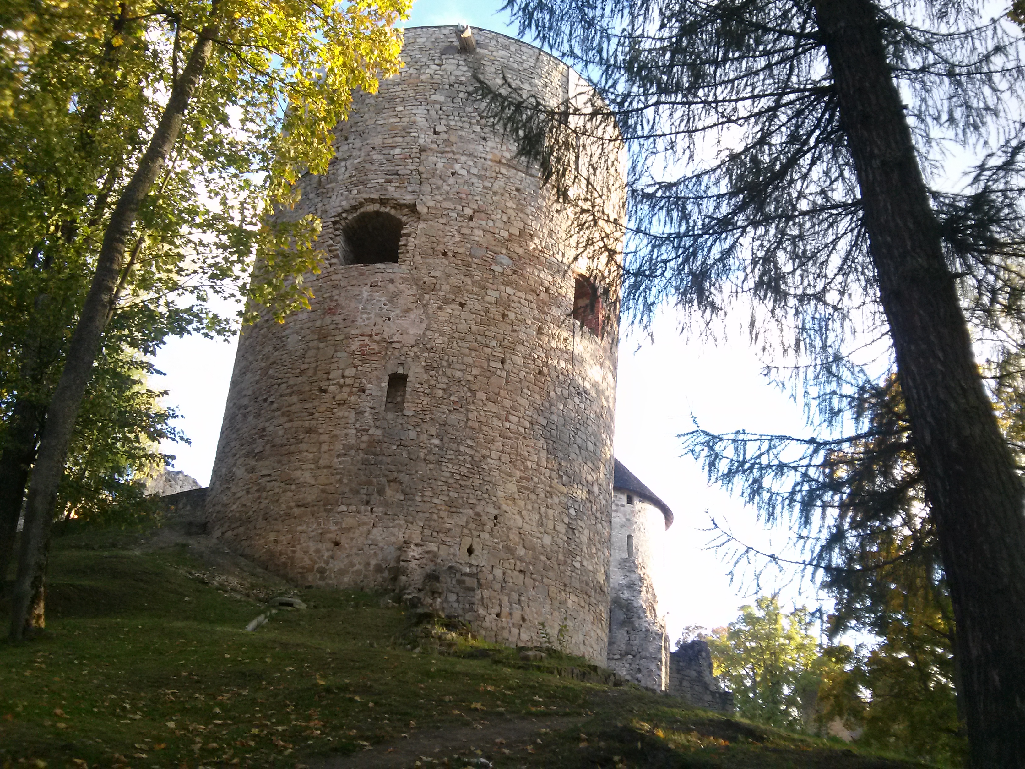 N castle. Цесис дерево. Дерево Цесис фото бесплатно. Цесис Борис Филиппович. Цесис старик.