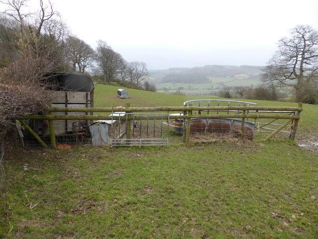 File:Corner of the sheep pasture - geograph.org.uk - 3861314.jpg