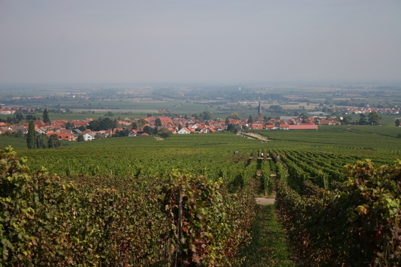 Rhodt unter Rietburg von Weyher aus