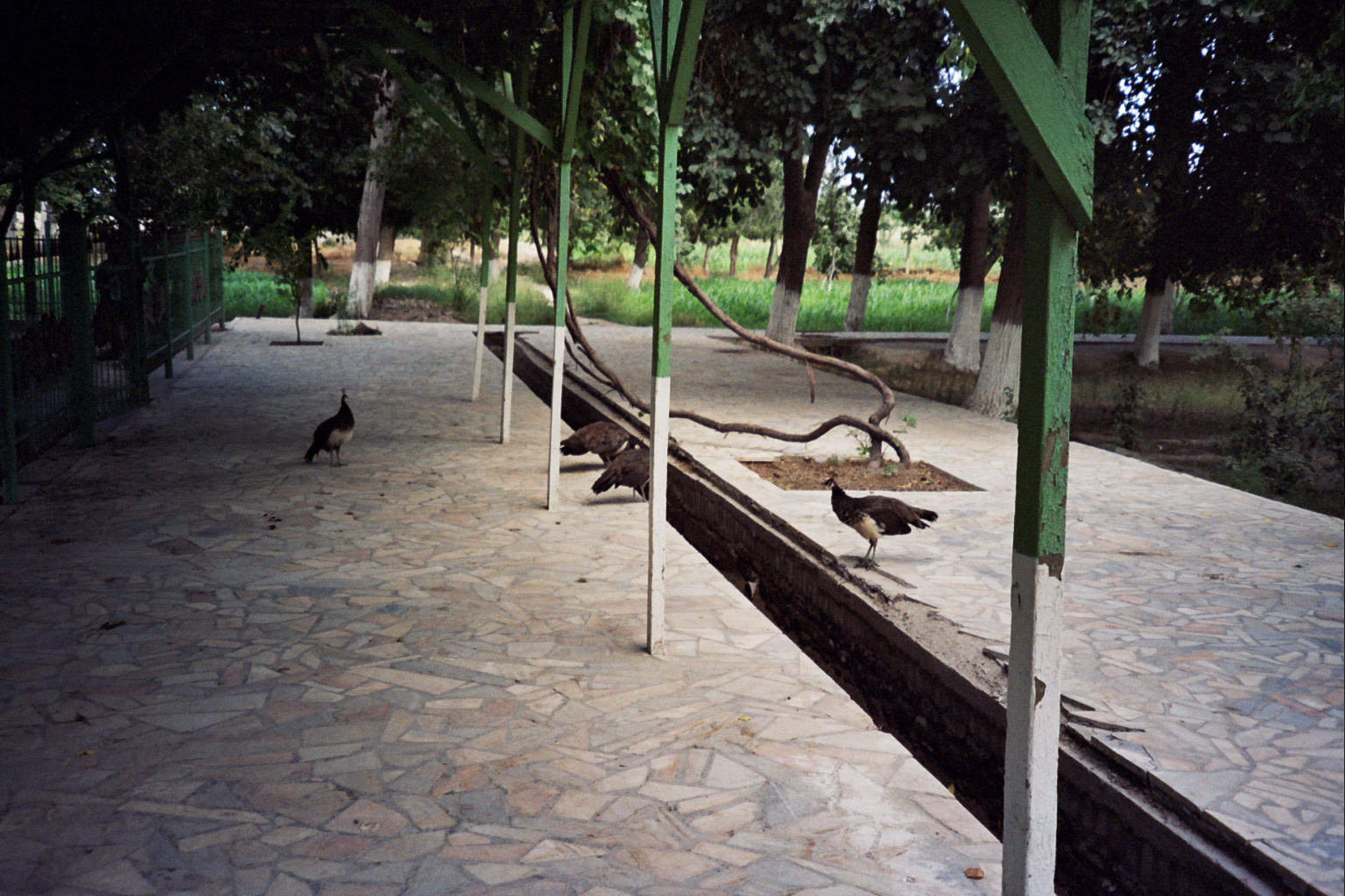 Emirs Summer Palace, near Bukhara (484609)