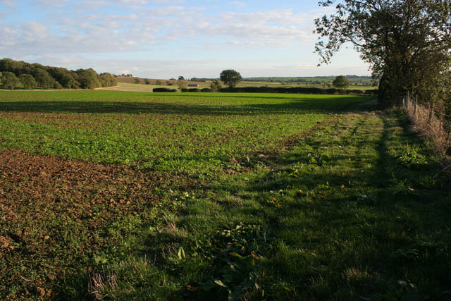 File:Farmland off Gorse Hill Lane - geograph.org.uk - 256862.jpg