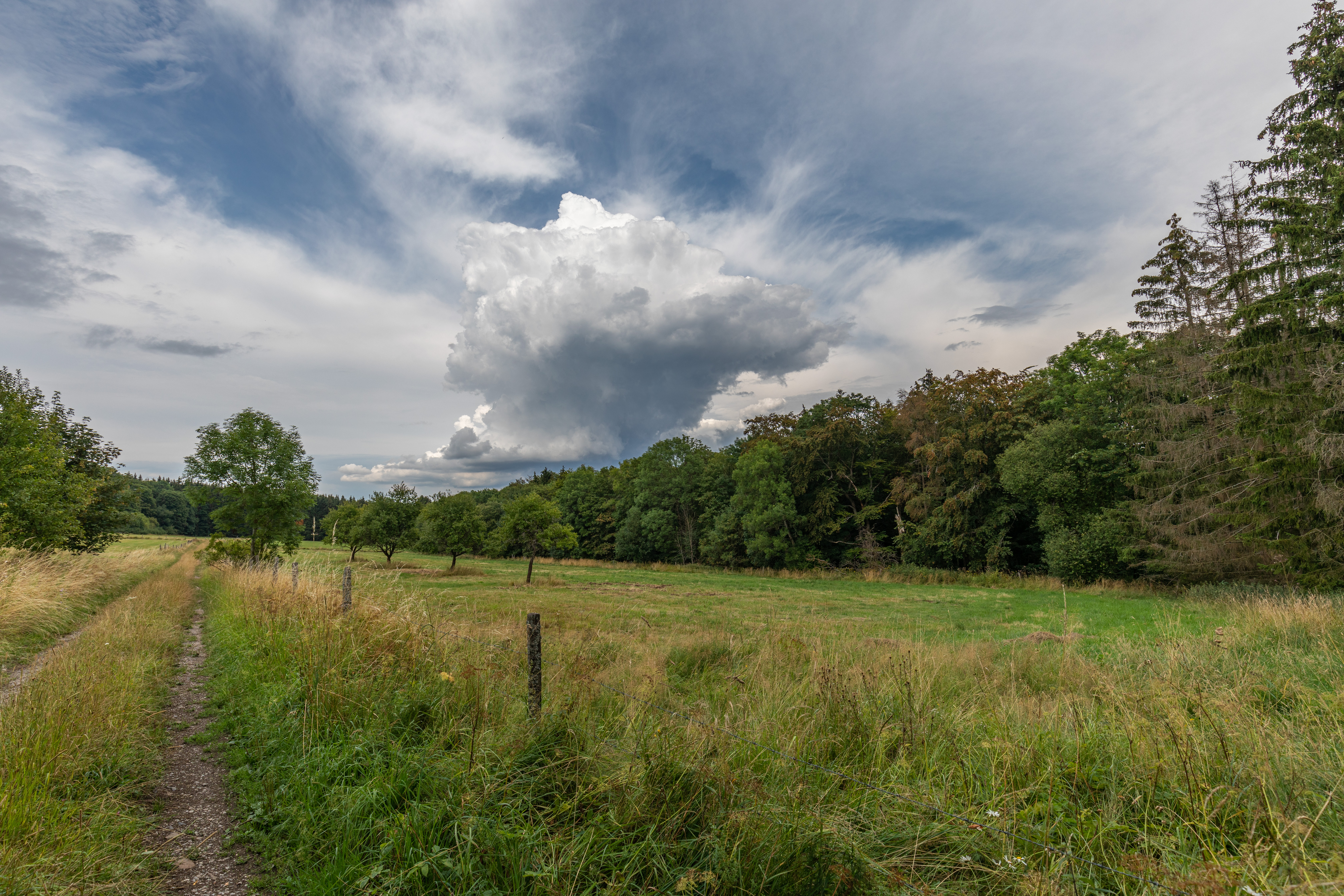 Naturschutzgebiet - Feuerheck bei Waldaubach