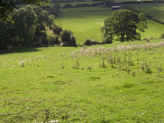 File:Footpath from Wellands lane to West End (4), Cleckheaton - geograph.org.uk - 234280.jpg