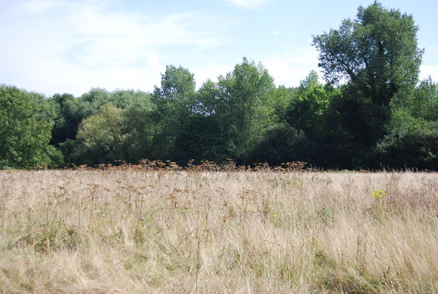 File:Foots Cray Meadows - geograph.org.uk - 3713862.jpg