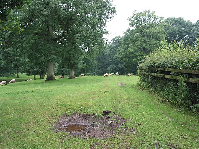 File:Grazing land near Beavan's Hill - geograph.org.uk - 495576.jpg