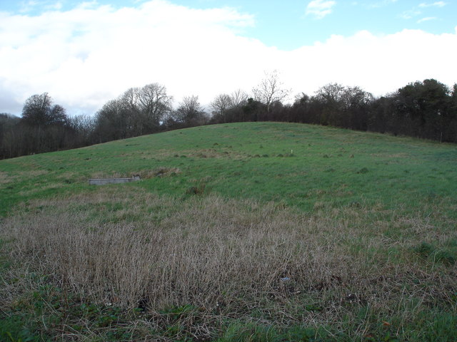 File:Hillock on Newfield Farm - geograph.org.uk - 312757.jpg