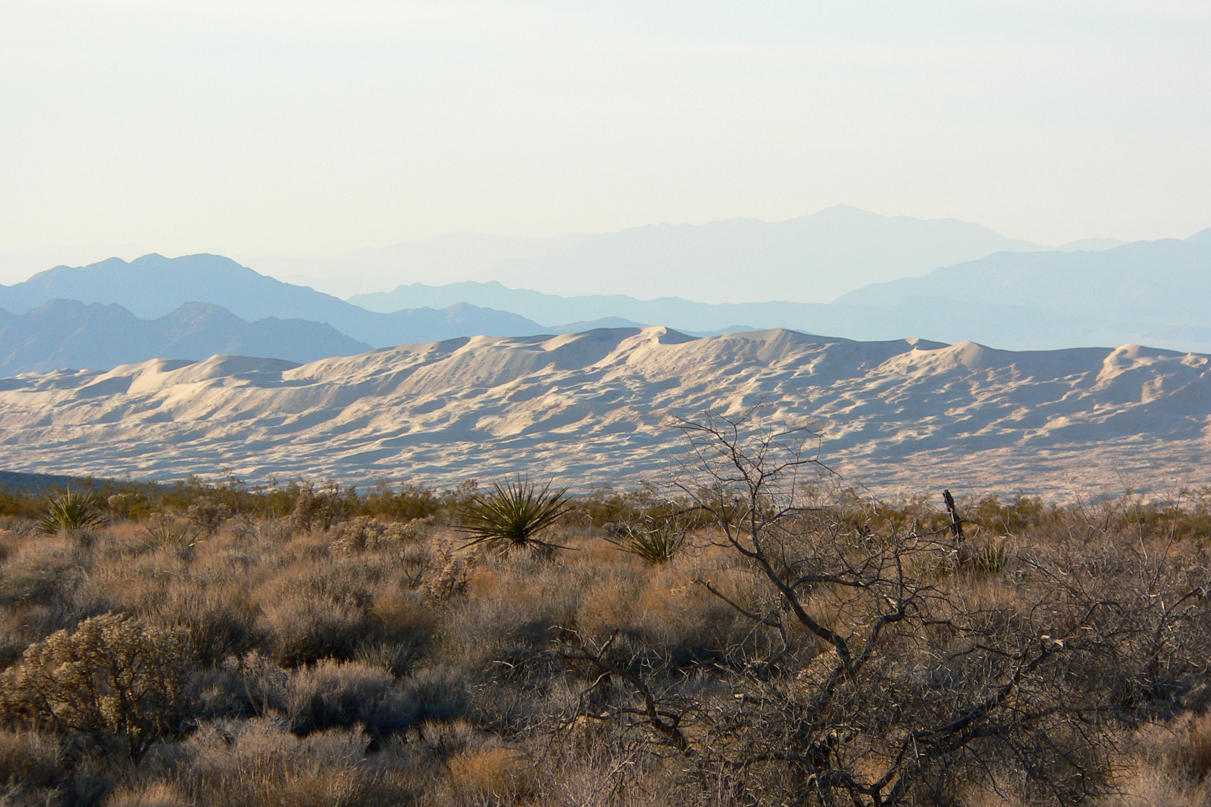 Kelso_Dunes_1