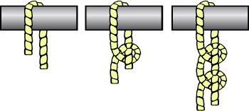 Knot 2 half hitches.jpg