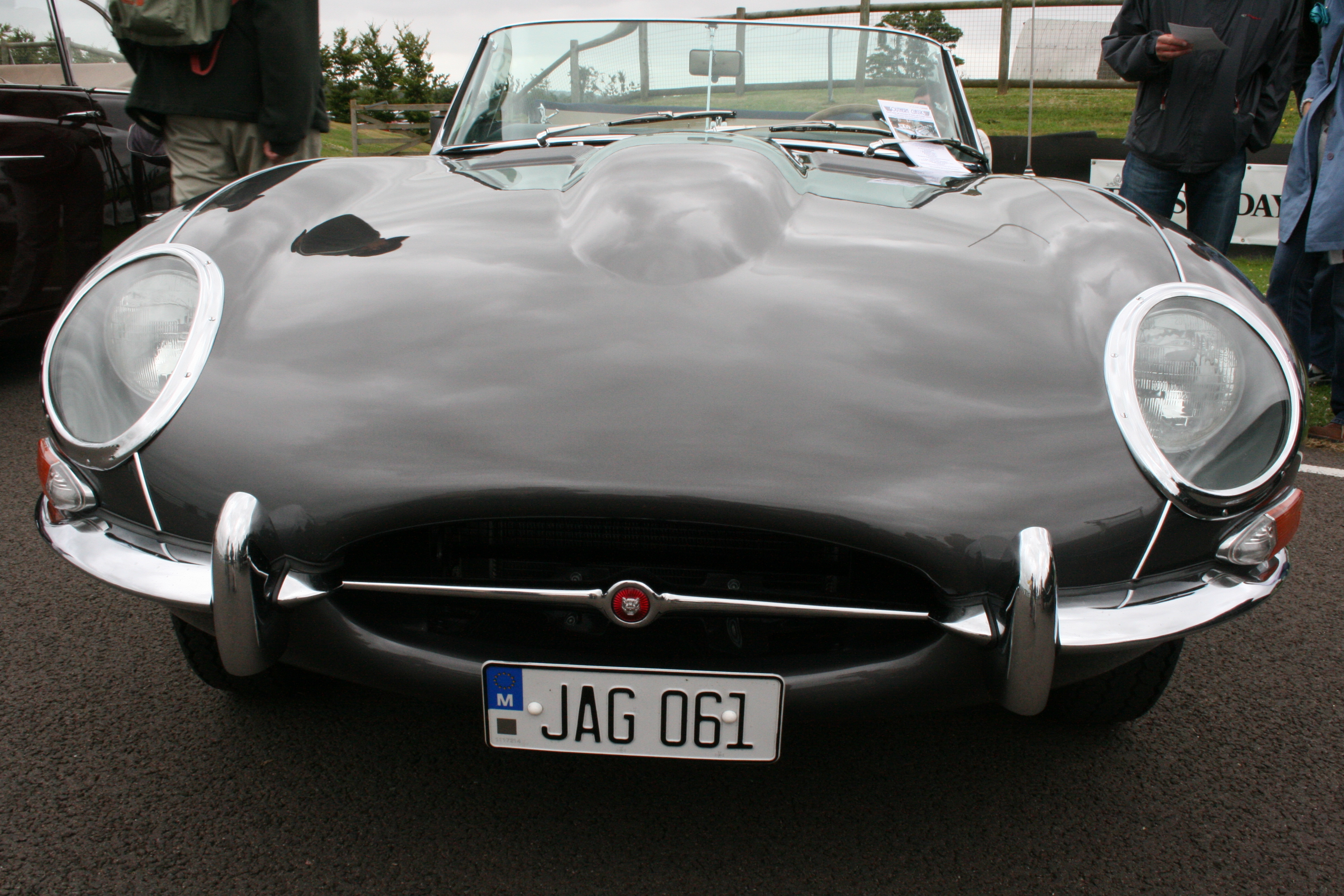 Type front. Jaguar e Type 67 цвет бежевый. Jaguar e Type 1961 Постер. Jaguar e Type Москва. Автомобиль Мальтиз.