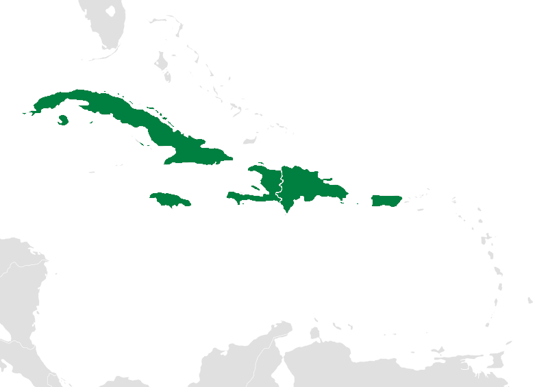 File:Map of the Caribbean-Greater Antilles.png