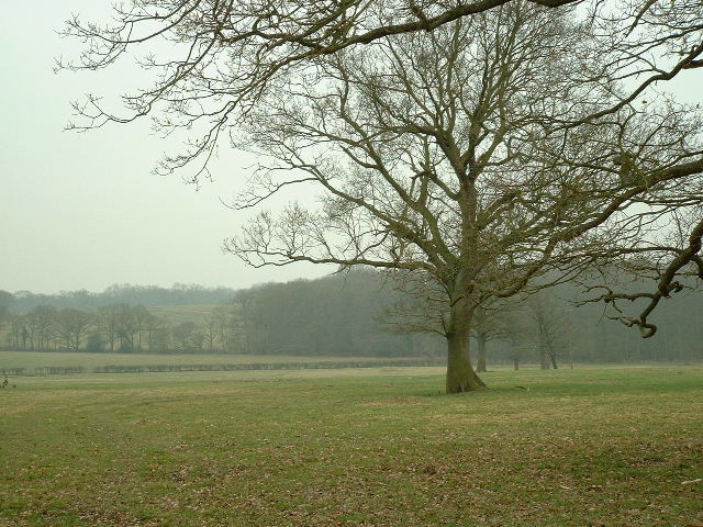 File:Near Smokejack Farm - geograph.org.uk - 165666.jpg