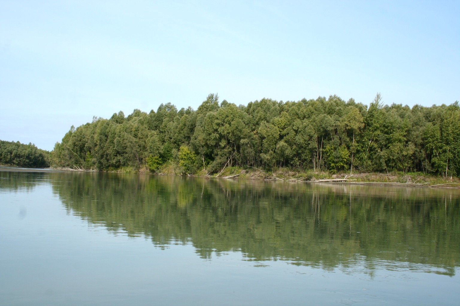 File:Ob river.jpg - Wikimedia Commons