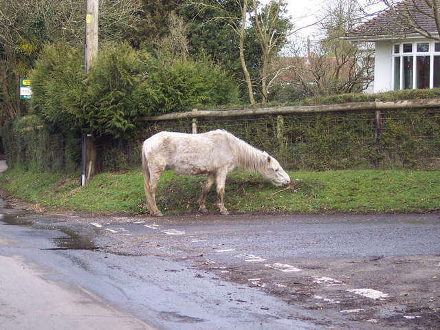 File:One horse-powered mower, Woodgreen - geograph.org.uk - 354965.jpg