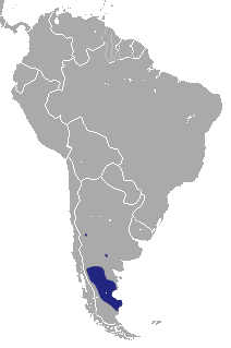 Description de l'image Patagonian Opossum area.png.