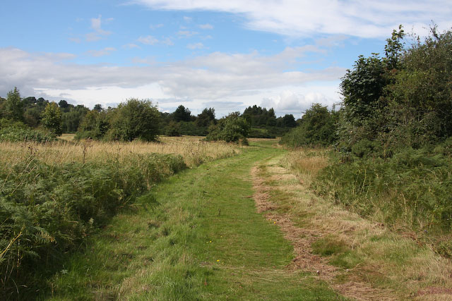 File:Path on Ewyas Harold Common - geograph.org.uk - 1066475.jpg