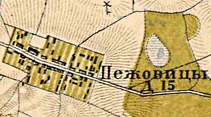 План деревни Пежевицы. 1885 год