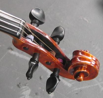 File:Polz-viola.JPG