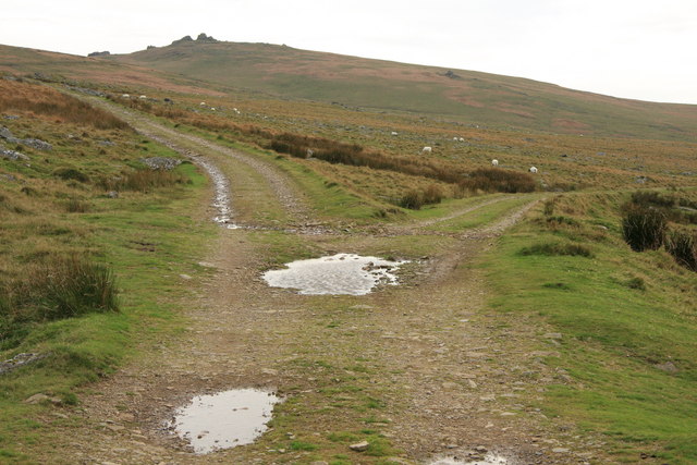 File:Rattlebrook Railway Points - geograph.org.uk - 1557108.jpg