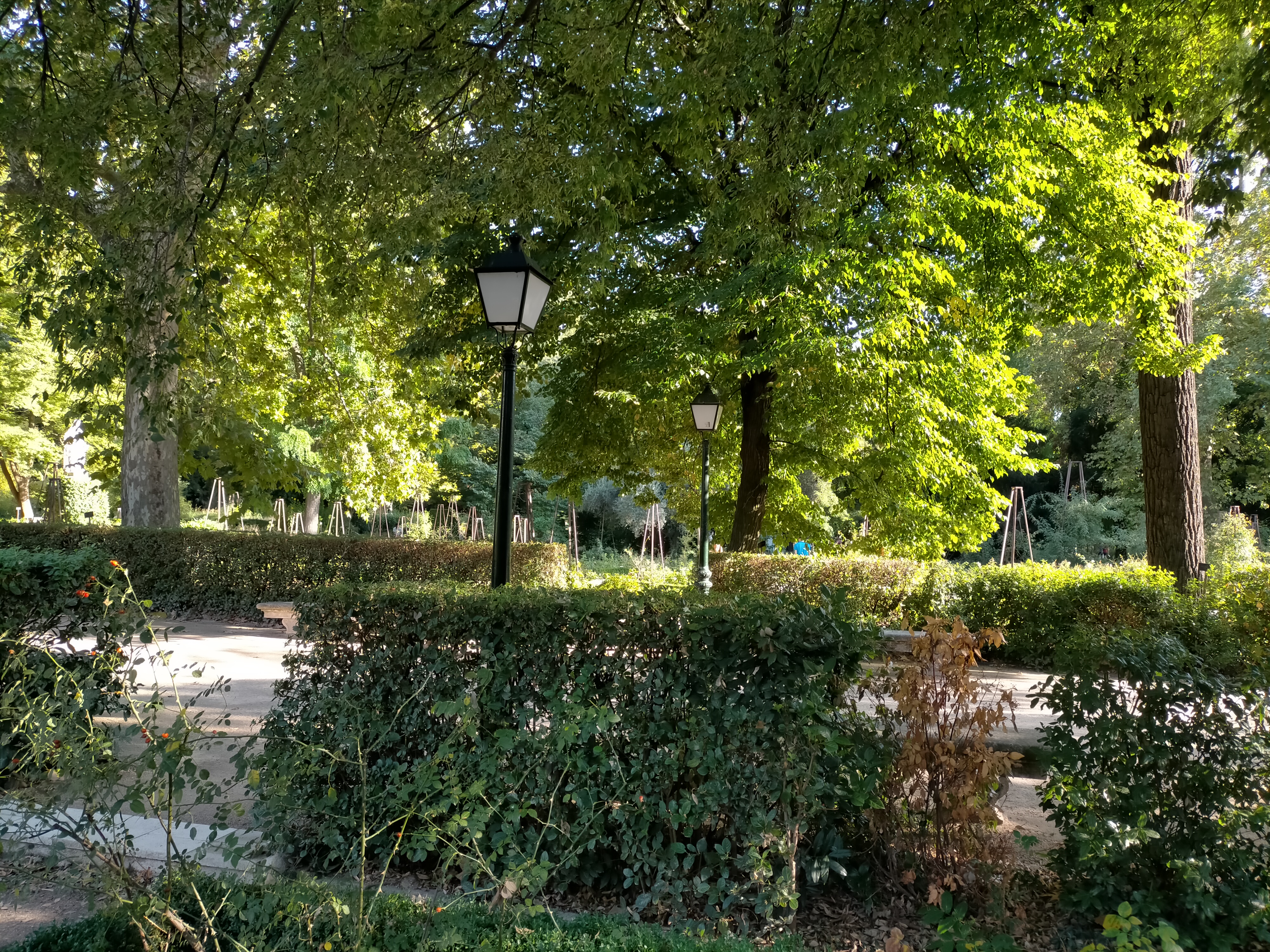 Donde esta el jardin botanico de madrid