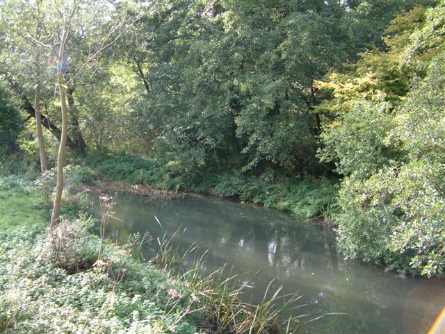 River Loddon, Swallowfield - geograph.org.uk - 65890