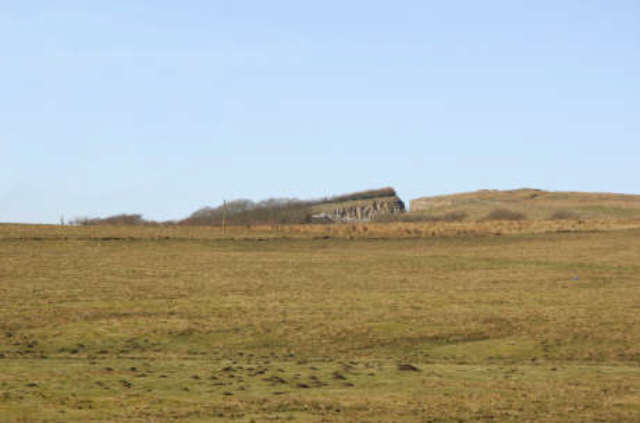 File:Rough grazing - geograph.org.uk - 349118.jpg