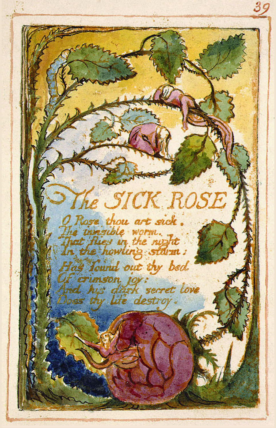 The Sick Rose