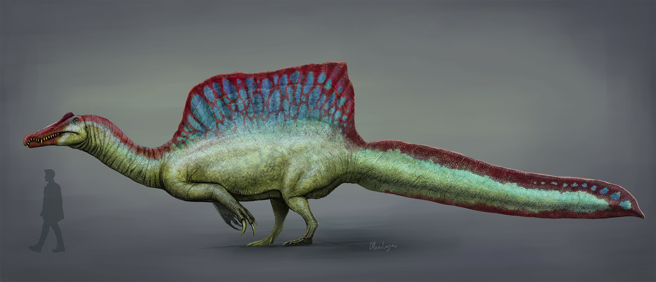 Spinosaurus_2020_reconstruction.jpg