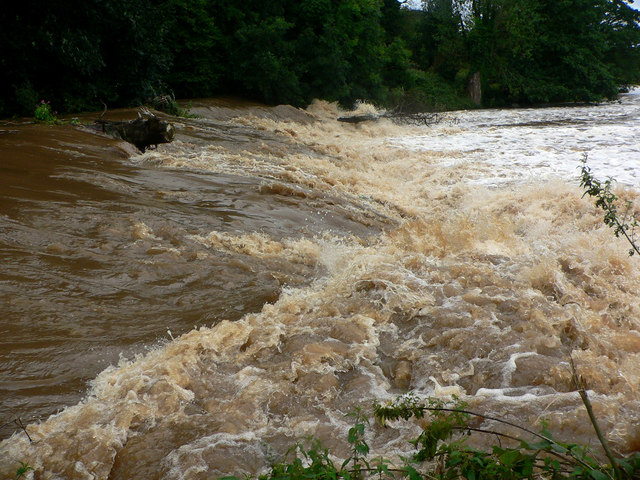 File:The River Otter - geograph.org.uk - 919187.jpg