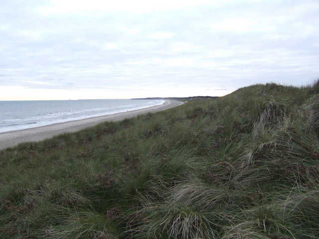 File:Top of the dunes - view south - geograph.org.uk - 631716.jpg