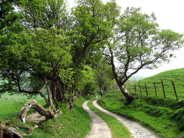 File:Trac i'r Gors. Track towards Gors. - geograph.org.uk - 423459.jpg