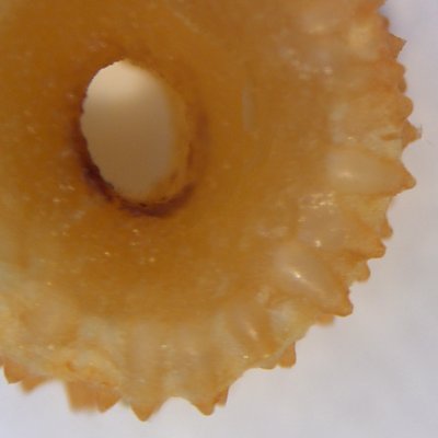 File:Trooping Cordyceps cross-section.jpg